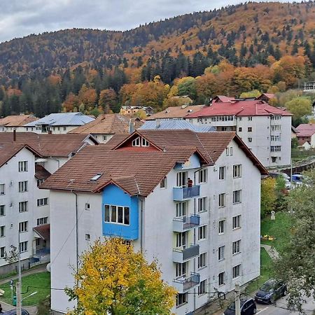 Sinaia Alpineview Residence المظهر الخارجي الصورة