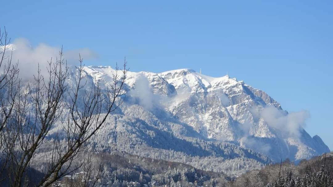 Sinaia Alpineview Residence المظهر الخارجي الصورة