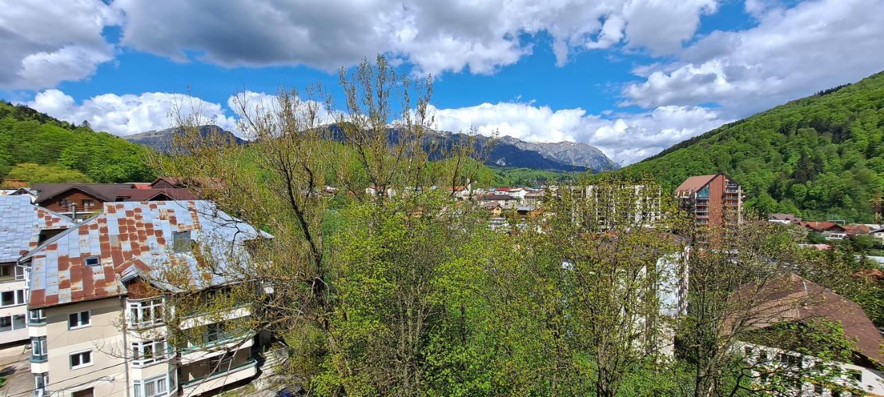 Sinaia Alpineview Residence المظهر الخارجي الصورة