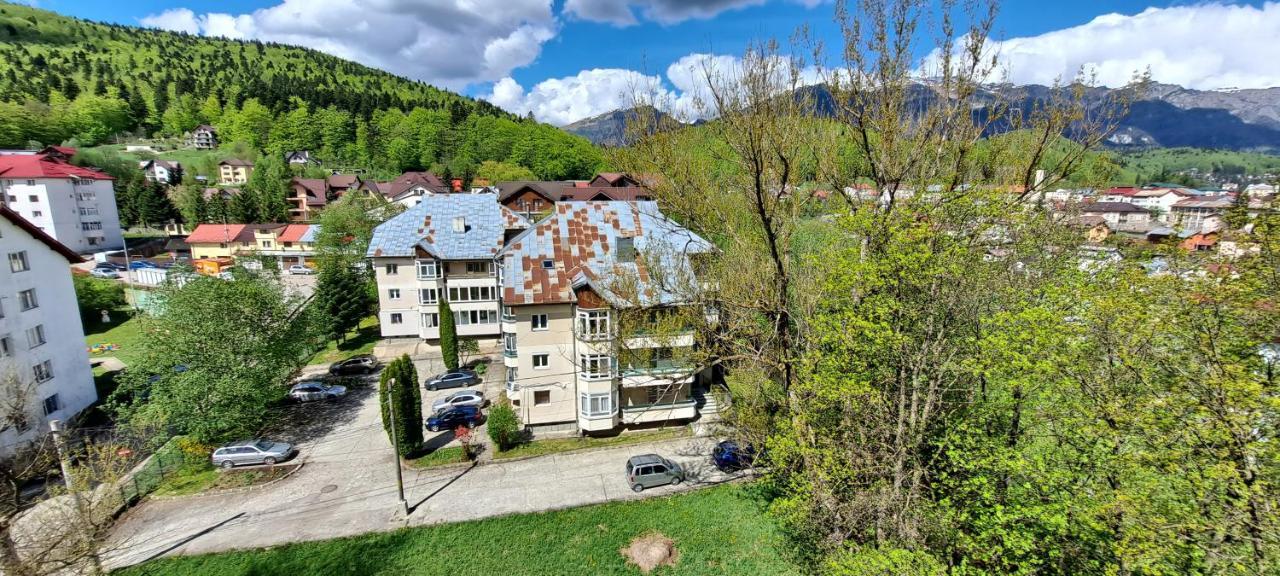 Sinaia Alpineview Residence المظهر الخارجي الصورة